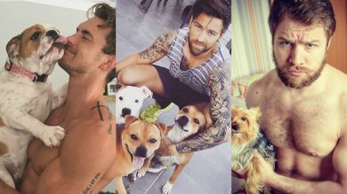 Ответ котикам: горячие парни с собаками из Instagram не дадут тебе спокойно работать 