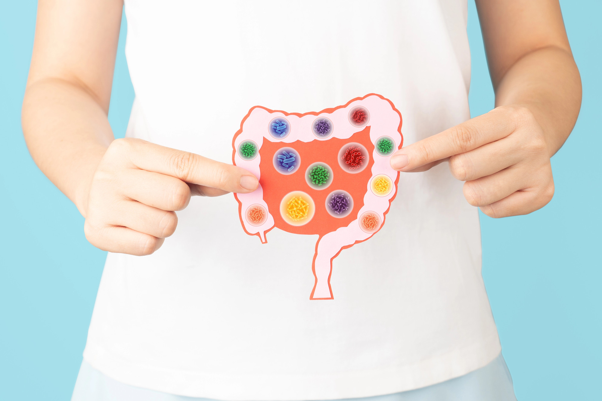 Жіноче довголіття і кишківник