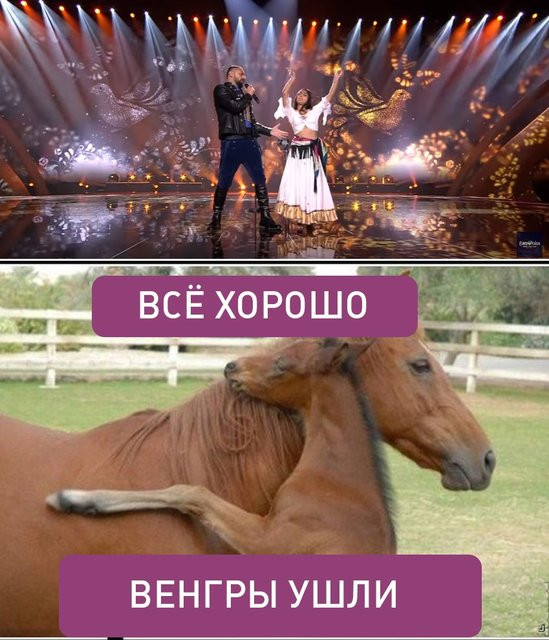 Евровидение 2017 смешные моменты фото