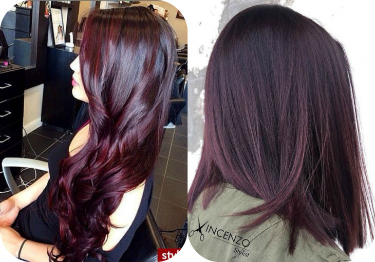 Цвет волос баклажановый на темные волосы до и после фото