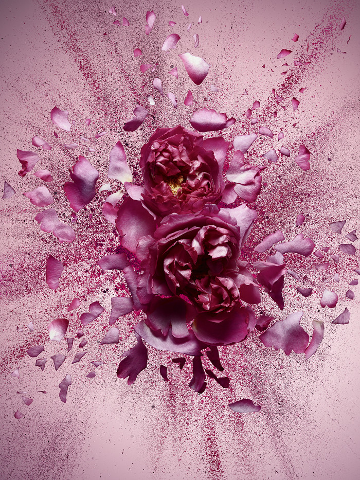 Новый аромат от Viktor&Rolf FlowerBomb Nectar