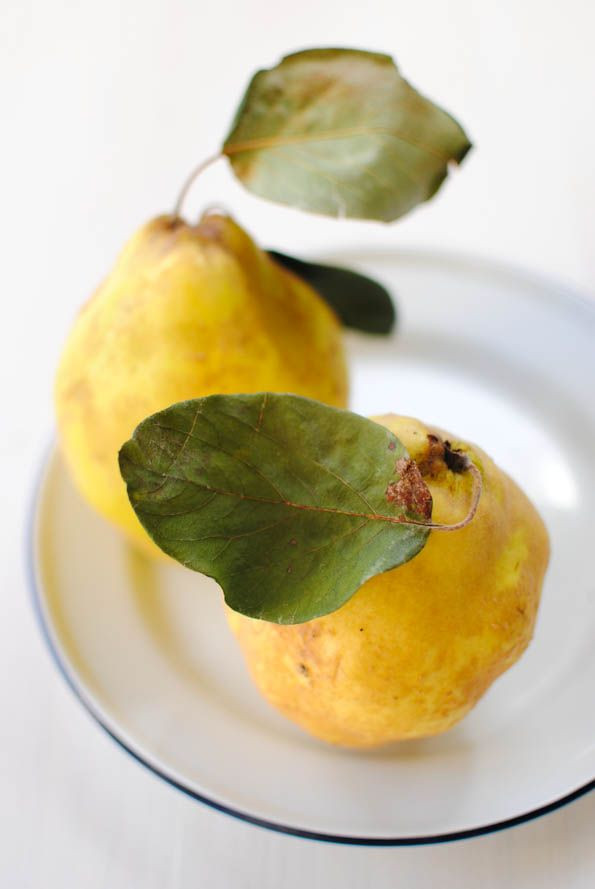 Айва польза, калорийность и блюда из осеннего фрукта